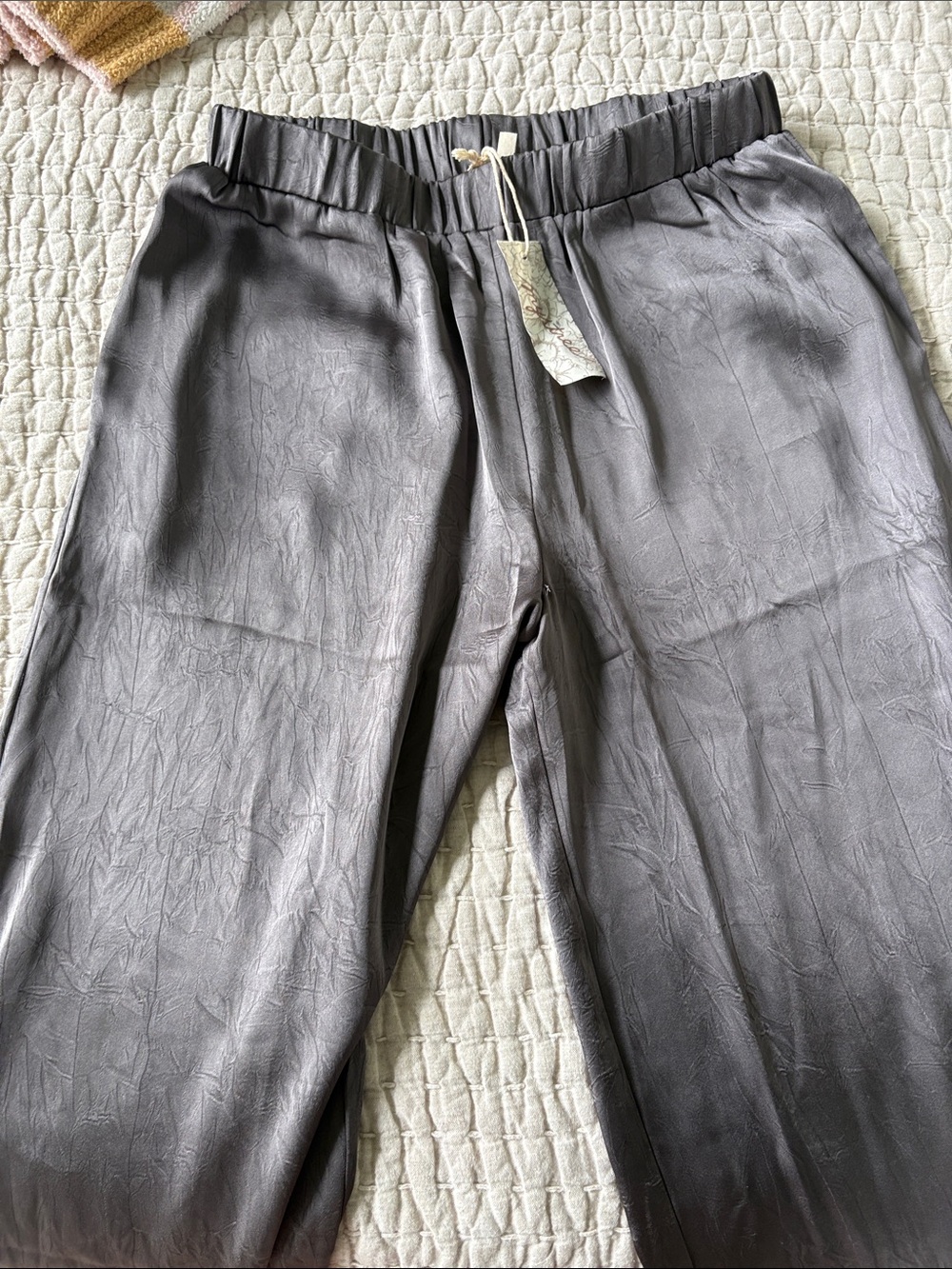 Mystree Silky Pull-On Pants in Charcoal Gray NWT M